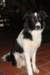 ilikeindy7monthsold2_small.jpg