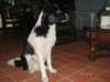 ilikeindy7monthsold_small.jpg