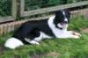 ilikeindy9monthsold14_small.jpg
