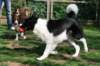 ilikeindy9monthsold15_small.jpg