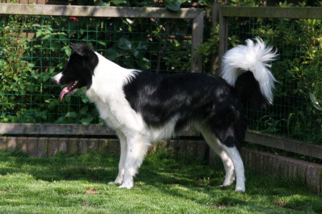 ilikeindy9monthsold3.jpg