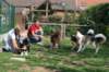 ilikeindy9monthsoldwithjetdogs_small.jpg