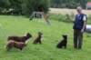 happypups4monthsmonty3years4monthsoldwithfranois2_small.jpg
