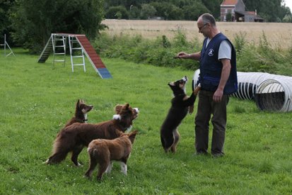 happypups4monthsmonty3years4monthsoldwithfranois3.jpg
