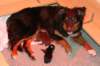 joypupsondayofbirth2_small.jpg