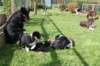 nelloubaday42withjoyherpupsday20_small.jpg