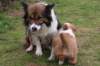 nim42daysoldzoe5_small.jpg