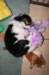 kwikbacadi22daysold_small.jpg