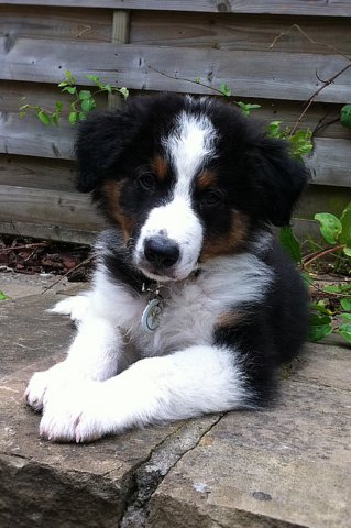 kwikbacadi2monthsold2.jpg