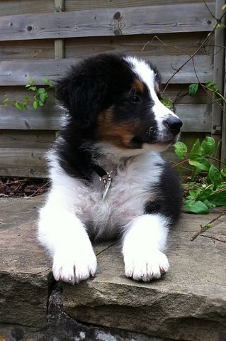 kwikbacadi2monthsold3.jpg