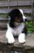kwikbacadi2monthsold3_small.jpg