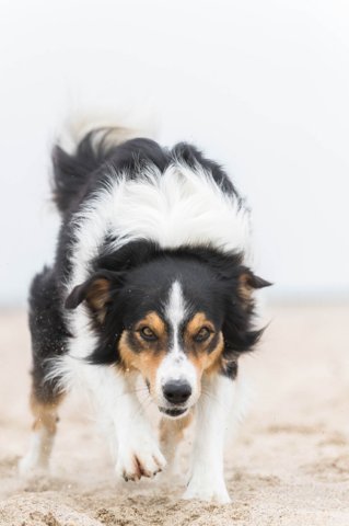 cadzand201709131106.jpg