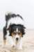 cadzand201709131106_small.jpg