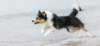 cadzand201709141111_small.jpg