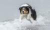 cadzand201709171114_small.jpg