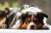 dsc000102_small.jpg