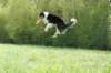 dsc00028_small.jpg