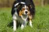 dsc00033_small.jpg