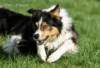 dsc000573_small.jpg