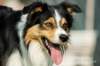 dsc00057_small.jpg