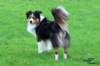 img_0060_small.jpg