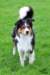 img_0063_small.jpg
