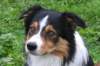 img_8365_small.jpg