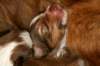 meetboy19daysold_small.jpg