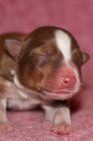 meetboy1dayold.jpg