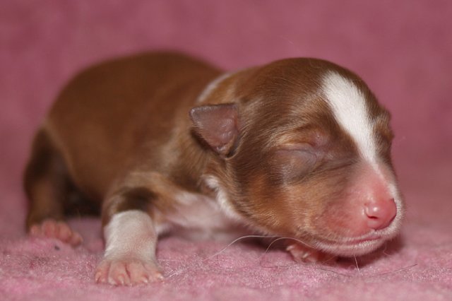 meetboy1dayold3.jpg
