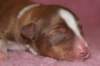 meetboy1dayold4_small.jpg