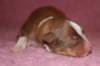 meetboy1dayold5_small.jpg