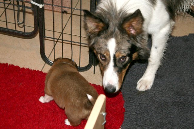 meetboy28daysoldtrixi.jpg