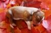 meetboy2daysold5_small.jpg