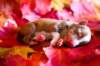 meetboy2daysold9_small.jpg
