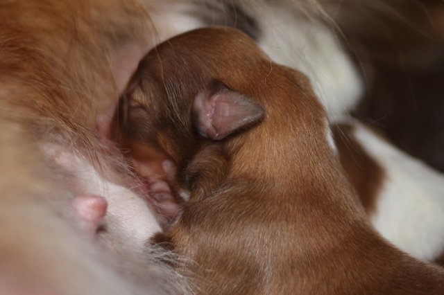 meetboy3daysold.jpg