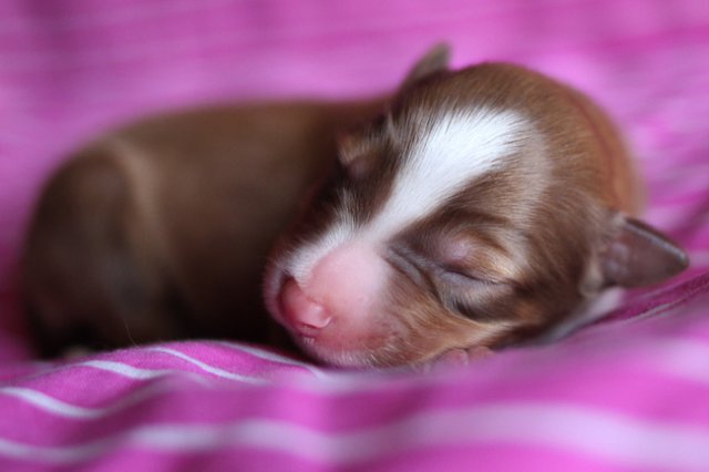 meetboy3daysold11.jpg