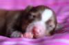 meetboy3daysold12_small.jpg