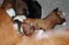 meetboy3daysold3_small.jpg