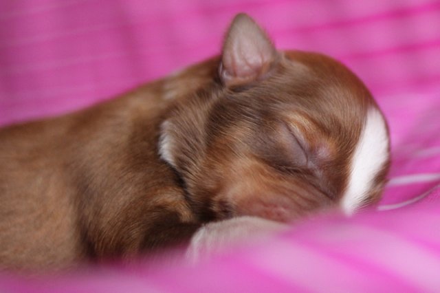 meetboy3daysold4.jpg