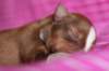meetboy3daysold4_small.jpg