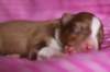 meetboy3daysold7_small.jpg