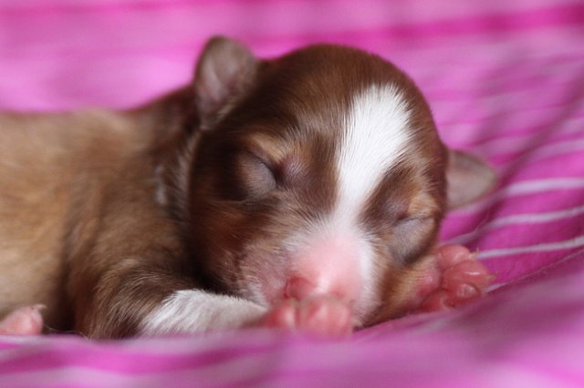 meetboy3daysold8.jpg