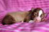 meetboy3daysold9_small.jpg