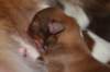 meetboy3daysold_small.jpg