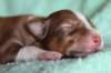 meetboy7daysold2_small.jpg