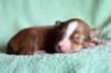 meetboy7daysold4_small.jpg