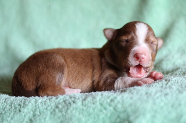 meetboy7daysold5.jpg