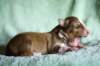 meetboy7daysold7_small.jpg