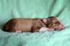 meetboy7daysold_small.jpg